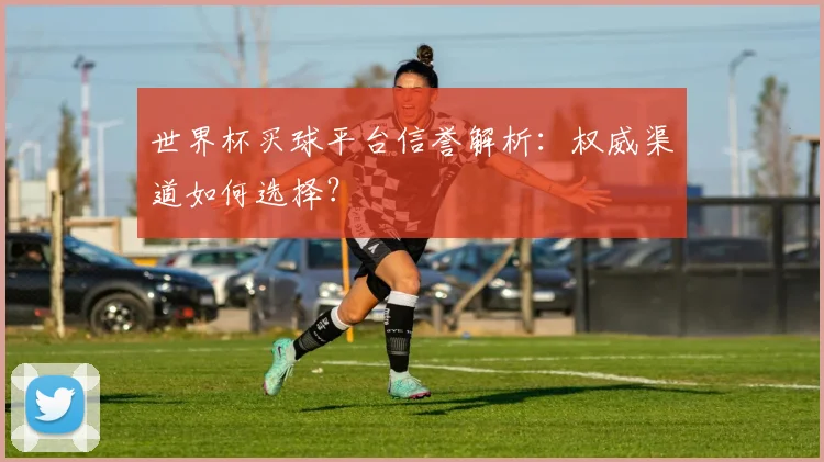 世界杯买球平台信誉解析:权威渠道如何选择?