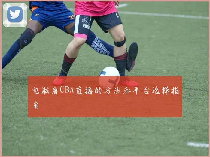 电脑看CBA直播的方法和平台选择指南
