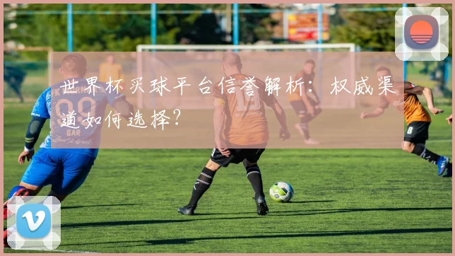 世界杯买球平台信誉解析:权威渠道如何选择?