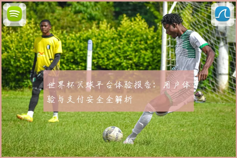 世界杯买球平台体验报告:用户体验与支付安全全解析
