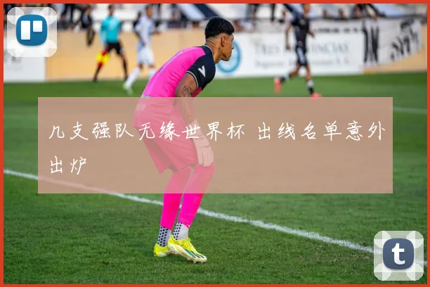 几支强队无缘世界杯 出线名单意外出炉
