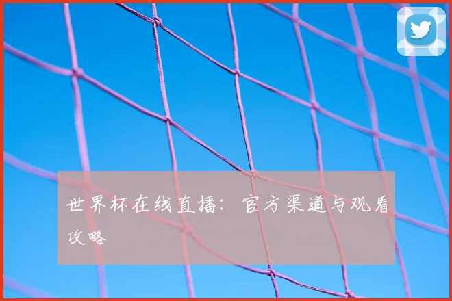世界杯在线直播:官方渠道与观看攻略