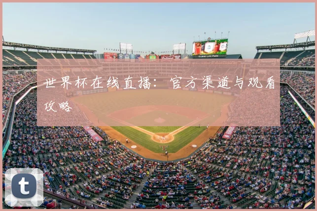 世界杯在线直播:官方渠道与观看攻略