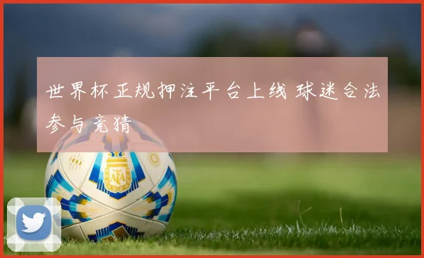 世界杯正规押注平台上线 球迷合法参与竞猜
