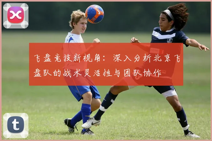 飞盘竞技新视角：深入分析北京飞盘队的战术灵活性与团队协作