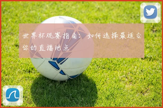 世界杯观赛指南：如何选择最适合你的直播地点